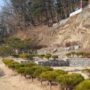 전제만목장 티스토리