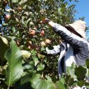 미서농장 이미지