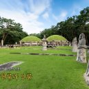 서울 헌릉과 인릉 이미지