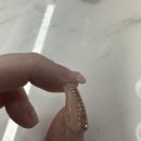 에스영이네일(S02 NAIL)