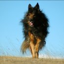 말랑말랑 이미지