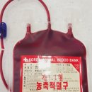 마루종합동물병원 이미지