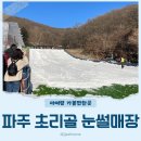 우리안명계 | 겨울방학 아이랑 파주 초리골 눈썰매장 다녀온 후기.
