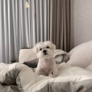 파장동 584-2~파장동 582-30 | 579-585일차 육아일기:
