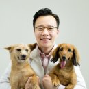 딜리동물병원 네이버블로그