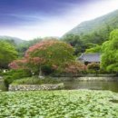 남도삼백리길(10코스) | 진도 가볼만한곳 베스트10 찐후기! 일몰, 바닷길, 진도개까지 다 있는 여행지