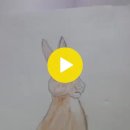 Opossum's Bare Tail (A North American Folktale) 이미지