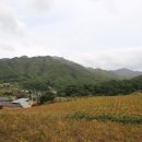 샘양지마을 이미지