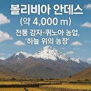 고원농장 이미지