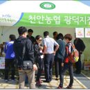 천안농업협동조합 광덕지점 이미지