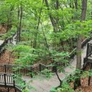 능골공원 배드민턴장 옆 | 추동공원 무장애길 능골- 효자봉 2.8km ‘ 주·야 산책 명소로'