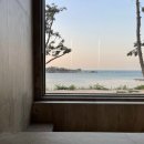 스테이 겨를 이미지