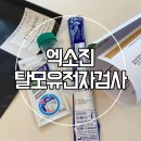 엑소진 유전자검사키트로 탈모유전자검사 후기