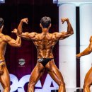 토탈케어 컴퍼니 이미지