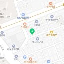 강남 요미독앤캣 강아지 분양 고양이 분양 이미지