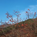 필봉농장 이미지