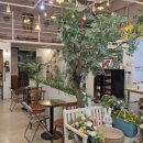 거북섬한방병원 이미지