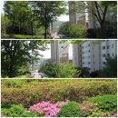 태평아파트 주변 이미지