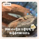 위례푸르지오102동앞 | 위례 아이들과 가볼만한 곳 파충류카페 송파파충류샵 티라노 다녀온 후기