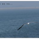 풀밭나라 이미지