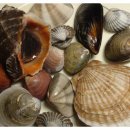 해륙수산 이미지