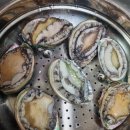 솔밭펜션 | 완도산 전복 솔밭펜션 보길도 솔밭수산 전복 내 돈 내산 후기.