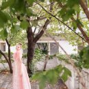 메라키디자인 네이버블로그