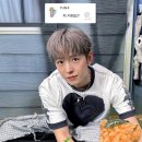 버블냥 이미지