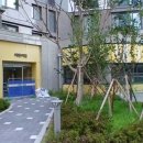 서울신묵초등학교병설유치원 이미지