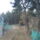 구평초교 이미지