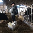 형식목장 이미지