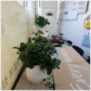 한밭사랑복지센터 | 면목동방문요양 우리사랑재가복지센터 방문요양 서비스 후기