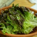 갈보리생고기