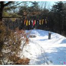 용문산 둥지 이미지