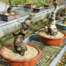 한솔농원 이미지