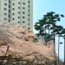 연합치과 이미지