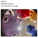 도쿄카레 이미지