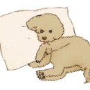 파이팅 당구장 이미지