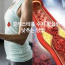 몸펴기 생활운동 A | 🩸 콜레스테롤 수치 확실히 낮추는 방법 총정리! 식단·운동·생활습관부터 실제 후기까지