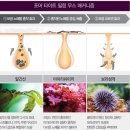 포더주니