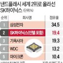 (주)SK하이닉스 - 4396 | (주)SK하이닉스