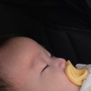 다연식당 | 광주 서구 상무지구 닭갈비 맛집 다연닭갈비｜치즈불쇼+볶음밥까지 완벽 솔직 후기