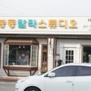 봉동칼라 이미지