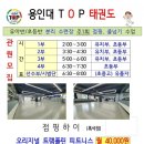 용인대 탑 태권도 이미지