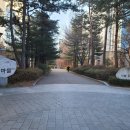 화성 동탄 탄성코트 동탄시범다은마을 래미안 더샵