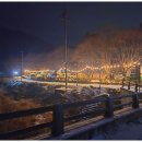 강변의 숲속 이미지