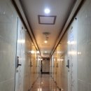 스테이 인가 이미지