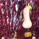 서울영양 이미지