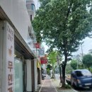 천하제일복권명당 - 서구 | 천하제일복권명당
