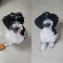 몽클라우드 이미지